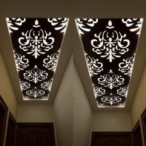 SS Fall Ceilings